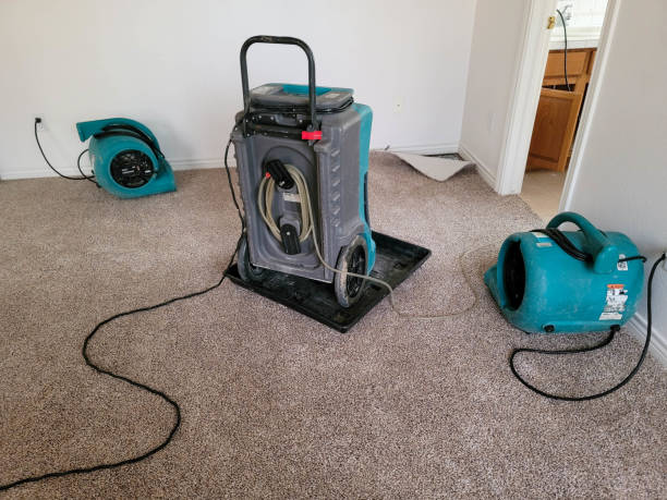 Best Fire Damage Restoration  in Strawberry, CA