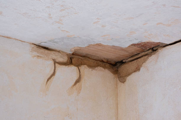 Best 24/7 water damage repair  in Strawberry, CA