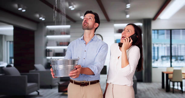 Best Professional water damage repair  in Strawberry, CA