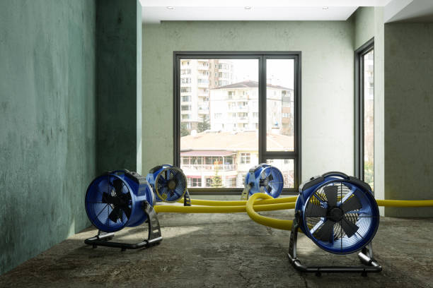 Best Local water damage restoration  in Strawberry, CA