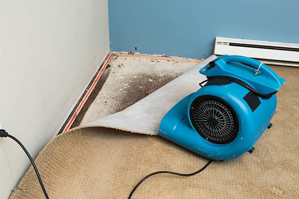 Strawberry, CA Water damage restoration Company